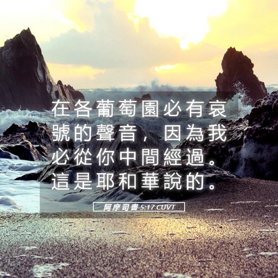 Picture 05 - 阿 摩 司 書 5:17 CUVT - 在 各 葡 萄 園 必 有 哀 號 的 聲 音 - Bible Verse Picture