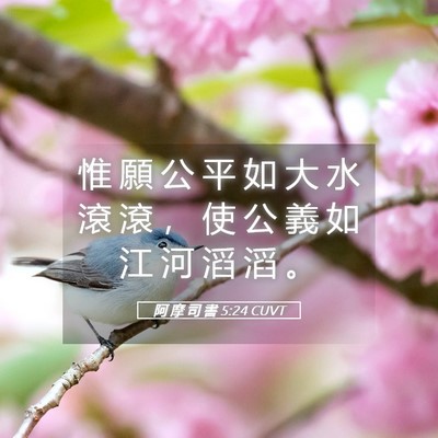 Picture 05 - 阿 摩 司 書 5:24 CUVT - 惟 願 公 平 如 大 水 滾 滾 ， 使 公 - Bible Verse Picture