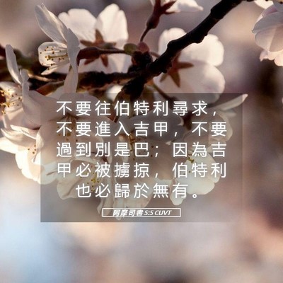 Picture 05 - 阿 摩 司 書 5:5 CUVT - 不 要 往 伯 特 利 尋 求 ， 不 要 進 - Bible Verse Picture