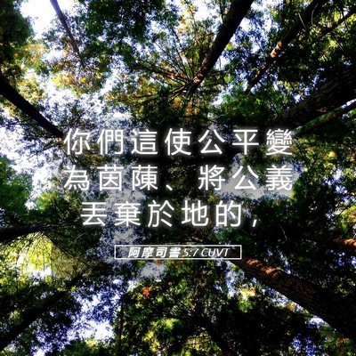 Picture 05 - 阿 摩 司 書 5:7 CUVT - 你 們 這 使 公 平 變 為 茵 蔯 、 將 - Bible Verse Picture