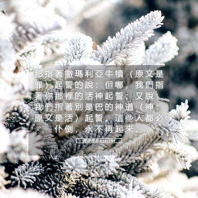 Picture 05 - 阿 摩 司 書 8:14 CUVT - 那 指 著 撒 瑪 利 亞 牛 犢 （ 原 文 - Bible Verse Picture