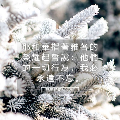 Picture 05 - 阿 摩 司 書 8:7 CUVT - 耶 和 華 指 著 雅 各 的 榮 耀 起 誓 - Bible Verse Picture