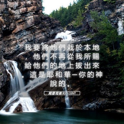 Picture 05 - 阿 摩 司 書 9:15 CUVT - 我 要 將 他 們 栽 於 本 地 ， 他 們 - Bible Verse Picture