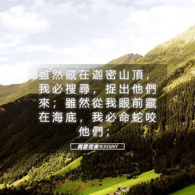 Picture 05 - 阿 摩 司 書 9:3 CUVT - 雖 然 藏 在 迦 密 山 頂 ， 我 必 搜 - Bible Verse Picture
