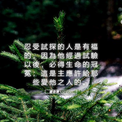 Picture 05 - 雅 各 書 1:12 CUVT - 忍 受 試 探 的 人 是 有 福 的 ， 因 - Bible Verse Picture