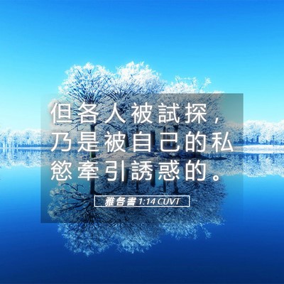 Picture 05 - 雅 各 書 1:14 CUVT - 但 各 人 被 試 探 ， 乃 是 被 自 己 - Bible Verse Picture