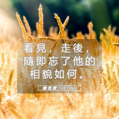 Picture 05 - 雅 各 書 1:24 CUVT - 看 見 ， 走 後 ， 隨 即 忘 了 他 的 - Bible Verse Picture
