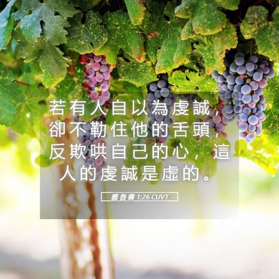 Picture 05 - 雅 各 書 1:26 CUVT - 若 有 人 自 以 為 虔 誠 ， 卻 不 勒 - Bible Verse Picture
