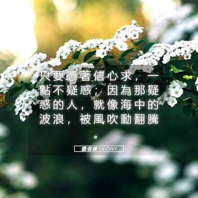 Picture 05 - 雅 各 書 1:6 CUVT - 只 要 憑 著 信 心 求 ， 一 點 不 疑 - Bible Verse Picture