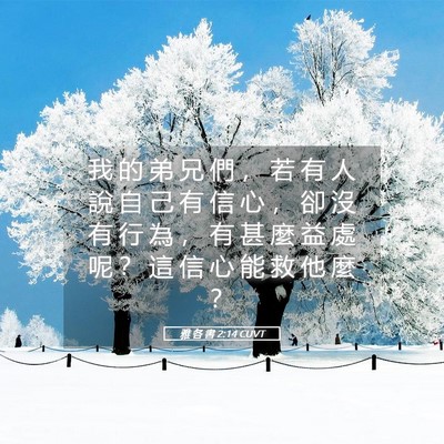 Picture 05 - 雅 各 書 2:14 CUVT - 我 的 弟 兄 們 ， 若 有 人 說 自 己 - Bible Verse Picture