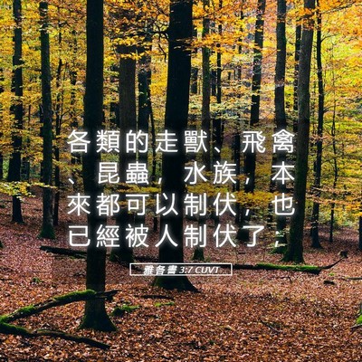 Picture 05 - 雅 各 書 3:7 CUVT - 各 類 的 走 獸 、 飛 禽 、 昆 蟲 ， - Bible Verse Picture