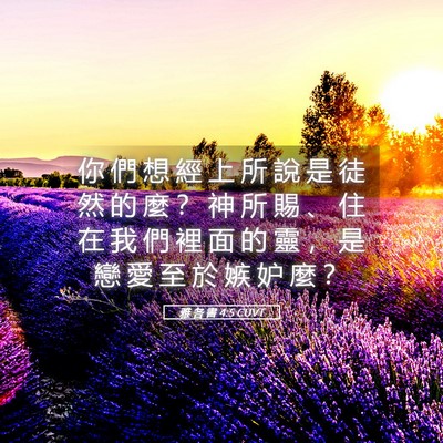 Picture 05 - 雅 各 書 4:5 CUVT - 你 們 想 經 上 所 說 是 徒 然 的 麼 - Bible Verse Picture