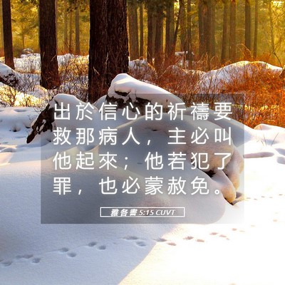 Picture 05 - 雅 各 書 5:15 CUVT - 出 於 信 心 的 祈 禱 要 救 那 病 人 - Bible Verse Picture