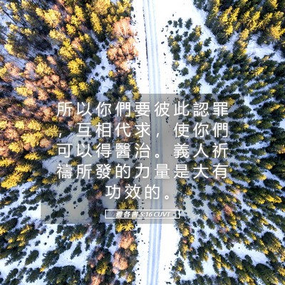 Picture 05 - 雅 各 書 5:16 CUVT - 所 以 你 們 要 彼 此 認 罪 ， 互 相 - Bible Verse Picture