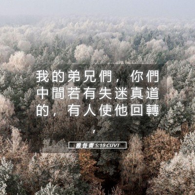 Picture 05 - 雅 各 書 5:19 CUVT - 我 的 弟 兄 們 ， 你 們 中 間 若 有 - Bible Verse Picture