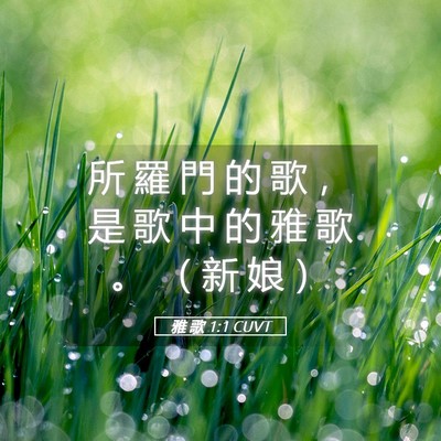 Picture 05 - 雅 歌 1:1 CUVT - 所 羅 門 的 歌 ， 是 歌 中 的 雅 歌 - Bible Verse Picture