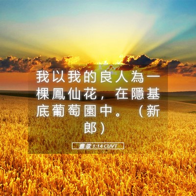 Picture 05 - 雅 歌 1:14 CUVT - 我 以 我 的 良 人 為 一 棵 鳳 仙 花 - Bible Verse Picture
