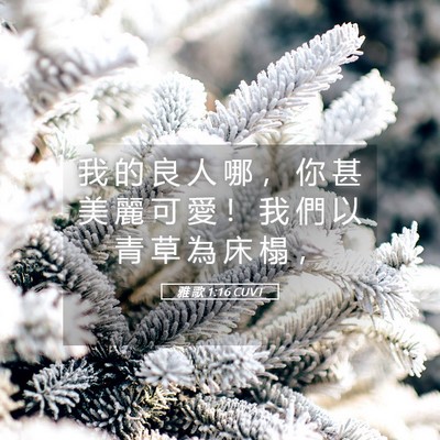 Picture 05 - 雅 歌 1:16 CUVT - 我 的 良 人 哪 ， 你 甚 美 麗 可 愛 - Bible Verse Picture