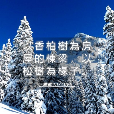 Picture 05 - 雅 歌 1:17 CUVT - 以 香 柏 樹 為 房 屋 的 棟 梁 ， 以 - Bible Verse Picture