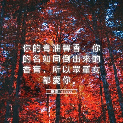 Picture 05 - 雅 歌 1:3 CUVT - 你 的 膏 油 馨 香 ； 你 的 名 如 同 - Bible Verse Picture