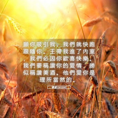 Picture 05 - 雅 歌 1:4 CUVT - 願 你 吸 引 我 ， 我 們 就 快 跑 跟 - Bible Verse Picture