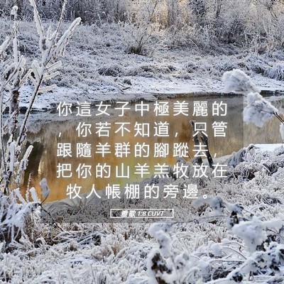 Picture 05 - 雅 歌 1:8 CUVT - 你 這 女 子 中 極 美 麗 的 ， 你 若 - Bible Verse Picture