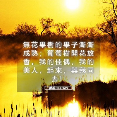 Picture 05 - 雅 歌 2:13 CUVT - 無 花 果 樹 的 果 子 漸 漸 成 熟 ； - Bible Verse Picture