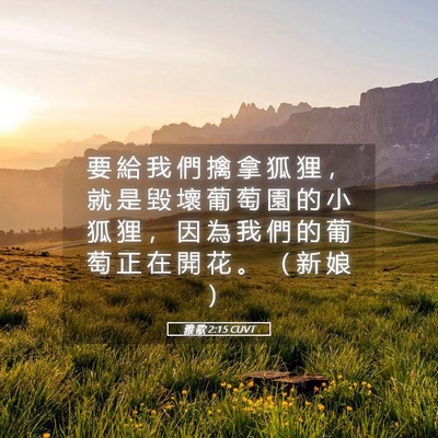 Picture 05 - 雅 歌 2:15 CUVT - 要 給 我 們 擒 拿 狐 狸 ， 就 是 毀 - Bible Verse Picture