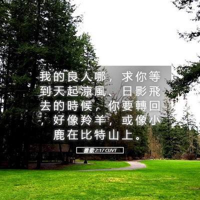 Picture 05 - 雅 歌 2:17 CUVT - 我 的 良 人 哪 ， 求 你 等 到 天 起 - Bible Verse Picture