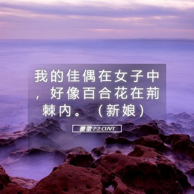 Picture 05 - 雅 歌 2:2 CUVT - 我 的 佳 偶 在 女 子 中 ， 好 像 百 - Bible Verse Picture