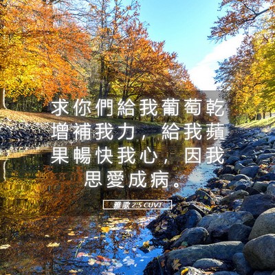 Picture 05 - 雅 歌 2:5 CUVT - 求 你 們 給 我 葡 萄 乾 增 補 我 力 - Bible Verse Picture