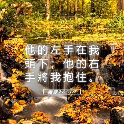 Picture 05 - 雅 歌 2:6 CUVT - 他 的 左 手 在 我 頭 下 ； 他 的 右 - Bible Verse Picture