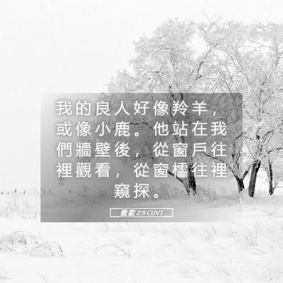 Picture 05 - 雅 歌 2:9 CUVT - 我 的 良 人 好 像 羚 羊 ， 或 像 小 - Bible Verse Picture