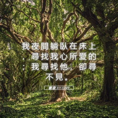 Picture 05 - 雅 歌 3:1 CUVT - 我 夜 間 躺 臥 在 床 上 ， 尋 找 我 - Bible Verse Picture