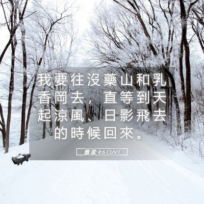 Picture 05 - 雅 歌 4:6 CUVT - 我 要 往 沒 藥 山 和 乳 香 岡 去 ， - Bible Verse Picture