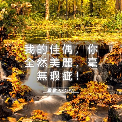 Picture 05 - 雅 歌 4:7 CUVT - 我 的 佳 偶 ， 你 全 然 美 麗 ， 毫 - Bible Verse Picture