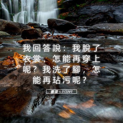 Picture 05 - 雅 歌 5:3 CUVT - 我 回 答 說 ： 我 脫 了 衣 裳 ， 怎 - Bible Verse Picture