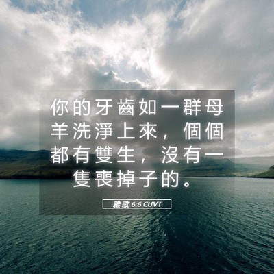 Picture 05 - 雅 歌 6:6 CUVT - 你 的 牙 齒 如 一 群 母 羊 洗 淨 上 - Bible Verse Picture