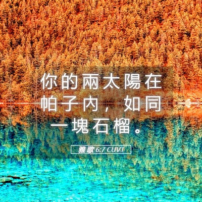 Picture 05 - 雅 歌 6:7 CUVT - 你 的 兩 太 陽 在 帕 子 內 ， 如 同 - Bible Verse Picture
