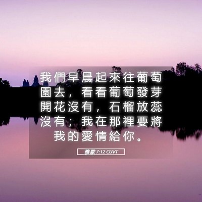 Picture 05 - 雅 歌 7:12 CUVT - 我 們 早 晨 起 來 往 葡 萄 園 去 ， - Bible Verse Picture