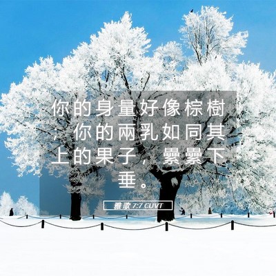 Picture 05 - 雅 歌 7:7 CUVT - 你 的 身 量 好 像 棕 樹 ； 你 的 兩 - Bible Verse Picture