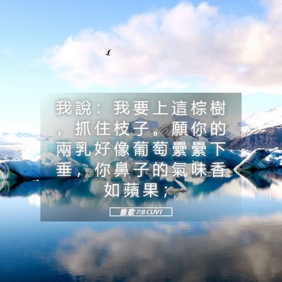 Picture 05 - 雅 歌 7:8 CUVT - 我 說 ： 我 要 上 這 棕 樹 ， 抓 住 - Bible Verse Picture