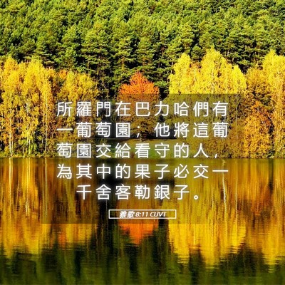 Picture 05 - 雅 歌 8:11 CUVT - 所 羅 門 在 巴 力 哈 們 有 一 葡 萄 - Bible Verse Picture