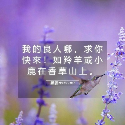 Picture 05 - 雅 歌 8:14 CUVT - 我 的 良 人 哪 ， 求 你 快 來 ！ 如 - Bible Verse Picture
