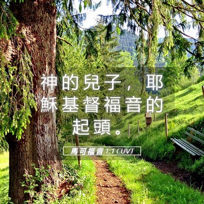 Picture 05 - 馬 可 福 音 1:1 CUVT - 神 的 兒 子 ， 耶 穌 基 督 福 音 的 - Bible Verse Picture