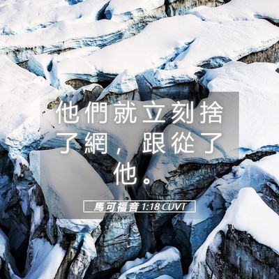 Picture 05 - 馬 可 福 音 1:18 CUVT - 他 們 就 立 刻 捨 了 網 ， 跟 從 了 - Bible Verse Picture