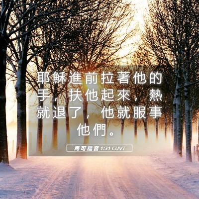 Picture 05 - 馬 可 福 音 1:31 CUVT - 耶 穌 進 前 拉 著 他 的 手 ， 扶 他 - Bible Verse Picture