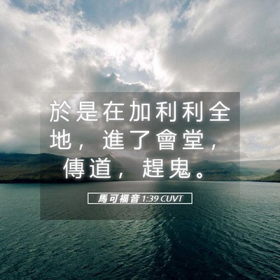 Picture 05 - 馬 可 福 音 1:39 CUVT - 於 是 在 加 利 利 全 地 ， 進 了 會 - Bible Verse Picture