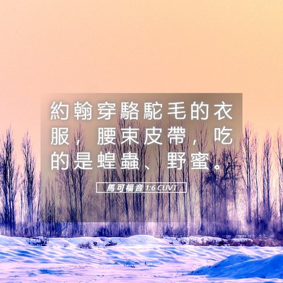 Picture 05 - 馬 可 福 音 1:6 CUVT - 約 翰 穿 駱 駝 毛 的 衣 服 ， 腰 束 - Bible Verse Picture