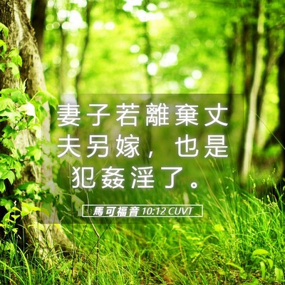 Picture 05 - 馬 可 福 音 10:12 CUVT - 妻 子 若 離 棄 丈 夫 另 嫁 ， 也 是 - Bible Verse Picture